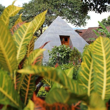 Hosteria Paraiso LàngLàngVilcabamba Ngoại thất bức ảnh