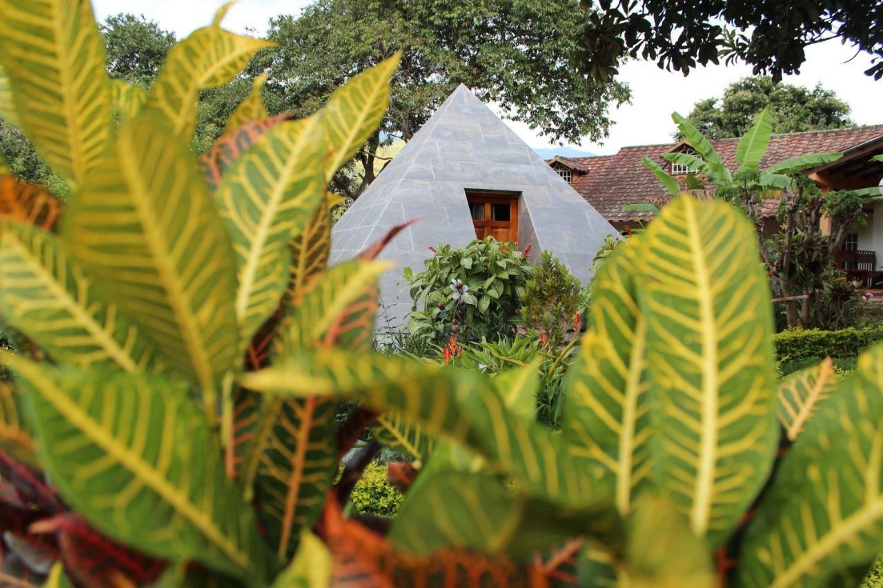 Hosteria Paraiso LàngLàngVilcabamba Ngoại thất bức ảnh
